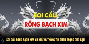 Soi Cầu Rồng Bạch Kim Và Những Thông Tin Quan Trọng Cho Bạn