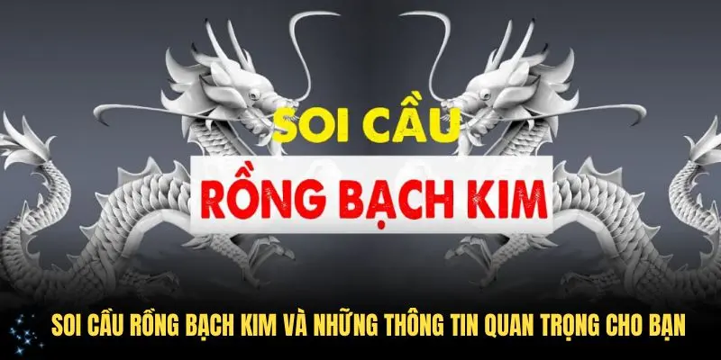 Soi Cầu Rồng Bạch Kim Và Những Thông Tin Quan Trọng Cho Bạn